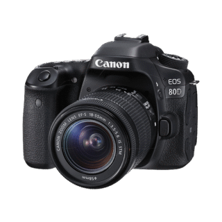 Vestibulum ante ipsum primis