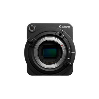 Aenean non pellentesque mauris